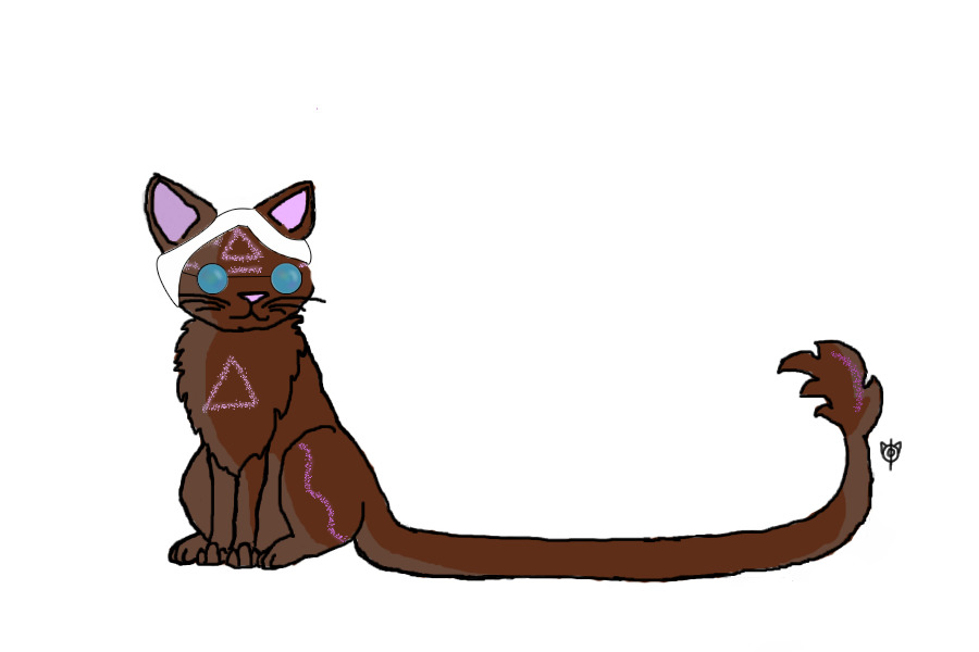 Cat Entry