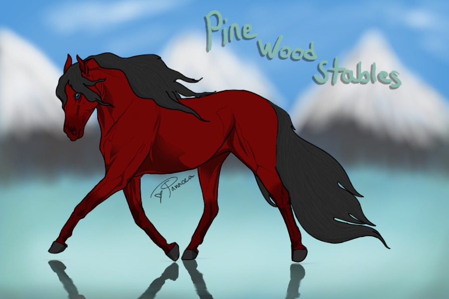 Pine Wood Stables