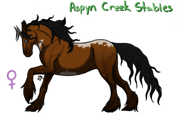 Artist Contest Entry - Bay Paint Mare