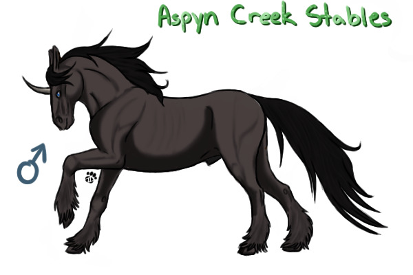 Artist Entry - Dark Grey Stallion
