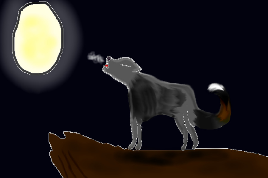 wolf drawing (wolf howl)