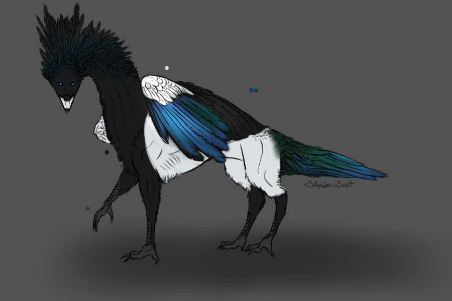 Bird Muratii Hybrid #2