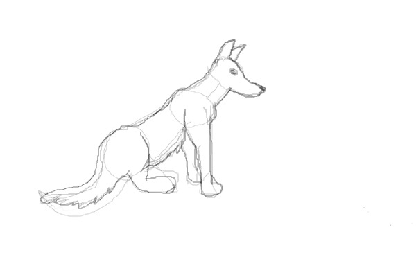 Just a dog sketch :3