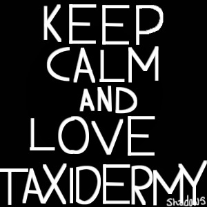Love Taxidermy