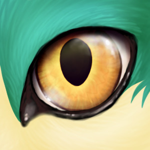 Kohana's Eye