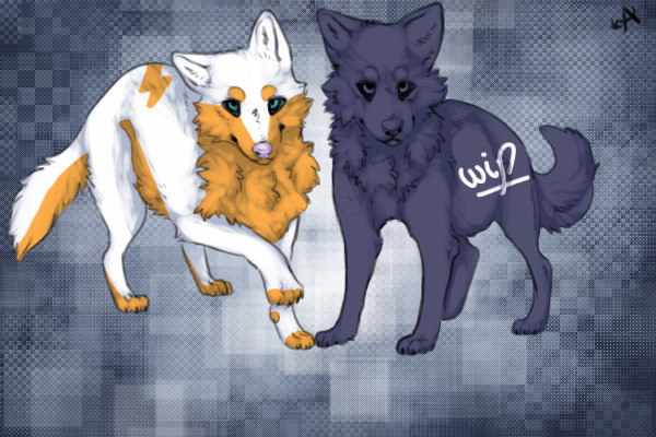 Padmakshi and wip--