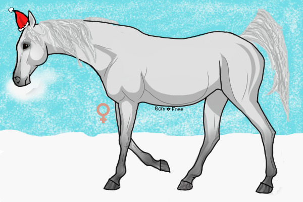 Freeborn Ranch Horse 34