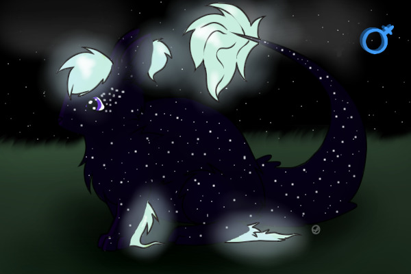 Lumos Bunny Entry Numero Two