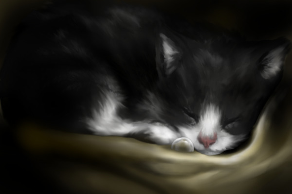 Kittycat :D