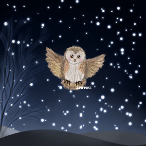 Owl♥