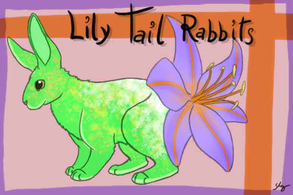 Lily Tail Rabbits