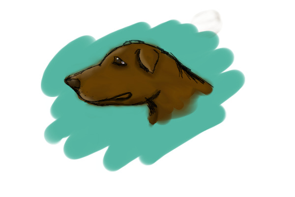 Dog Headshot