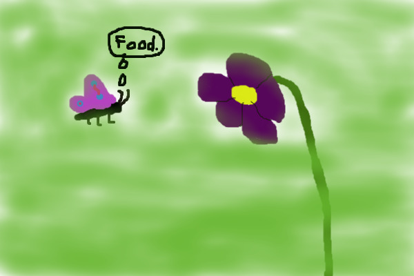 Butterfly and flower