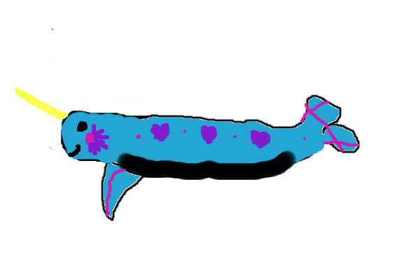 Narwhal