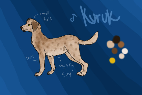 kuruk ref 2013