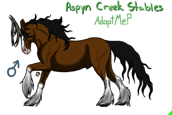 Antleer - Brown Stallion