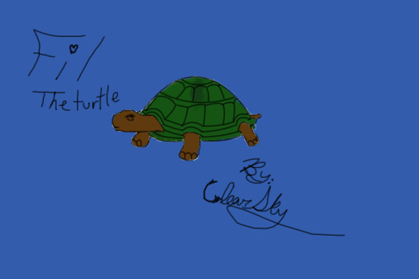 basic turtle. for Turtle CONTEST!!!