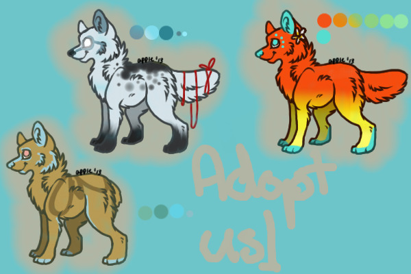 Adopts