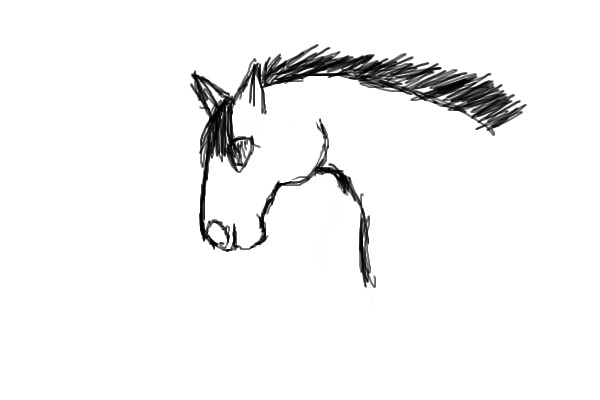 Horse Heashot 2
