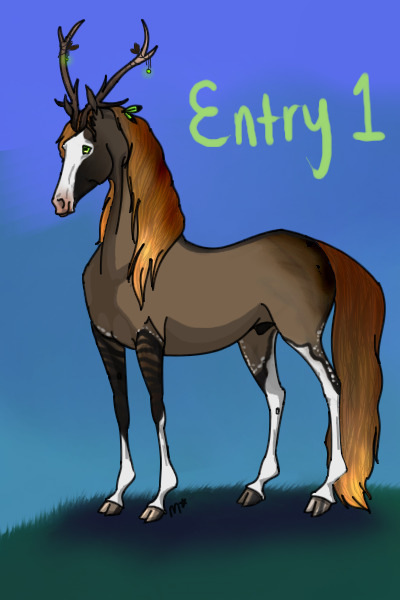 Entry One - Silver Grullo Stallion