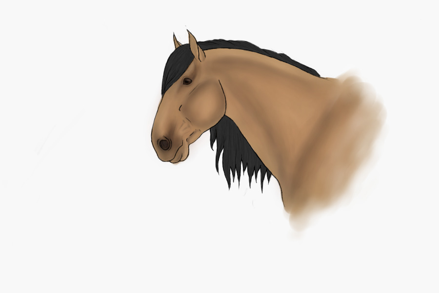 Horse ~