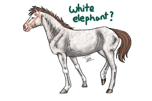White elephant c: