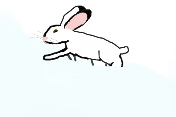 It's the arctic hare!