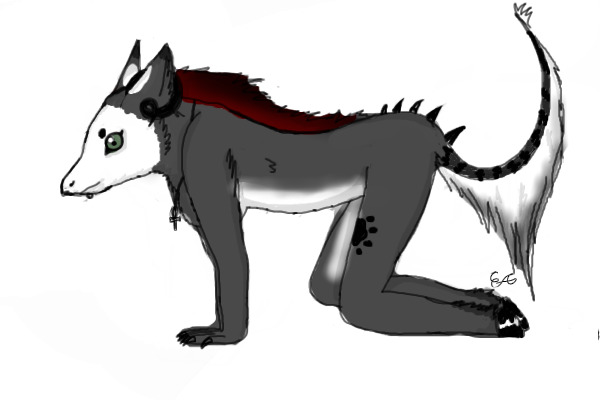 New fursona