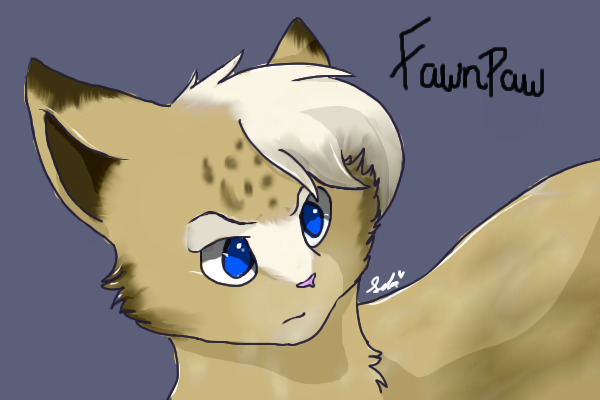 Fawnpaw