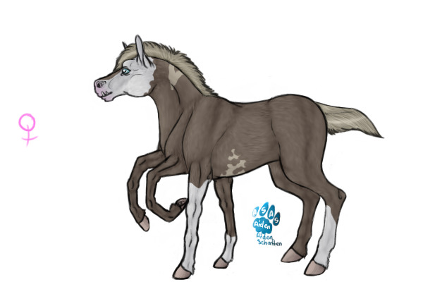 Sleipnir Foal #9