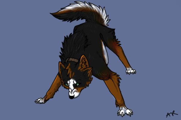 BMD