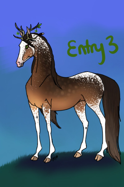 Entry Three - Blanketed Grulla Mare