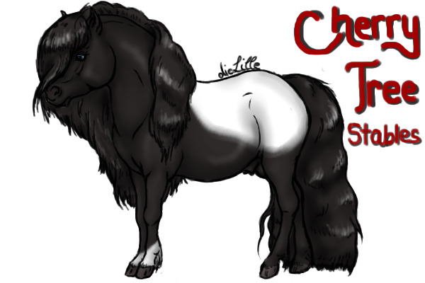 Black Blanket Stallion-CTS Adopt