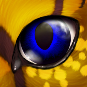 Valencia Eye Detail Avatar