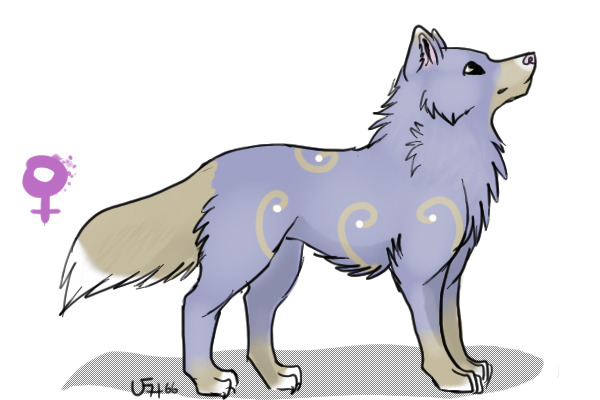 Wolf