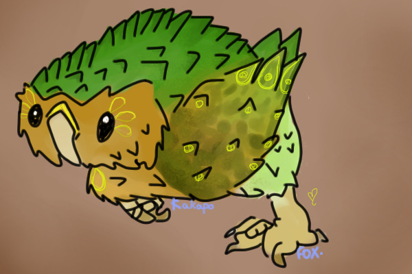 Kakapo by Sassafras Troubadour 1