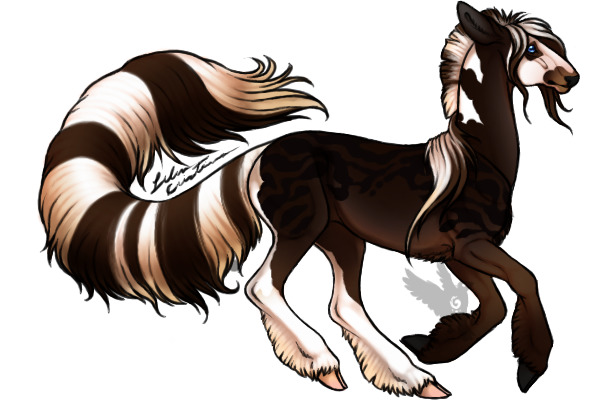 Bengal Brown Tobiano