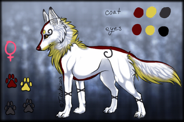 Dog for Comp.