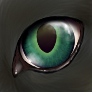 Eye