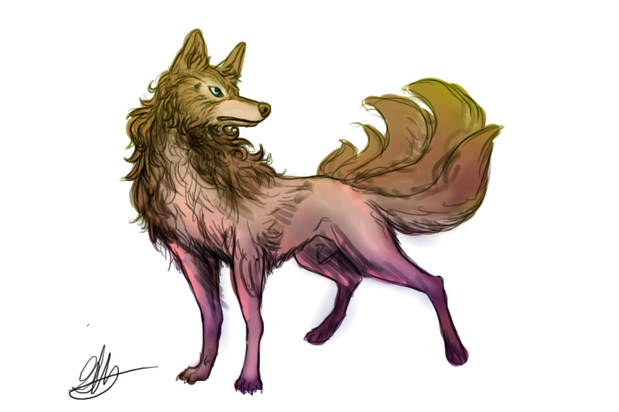 sketch