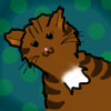 Like Tabby cats?