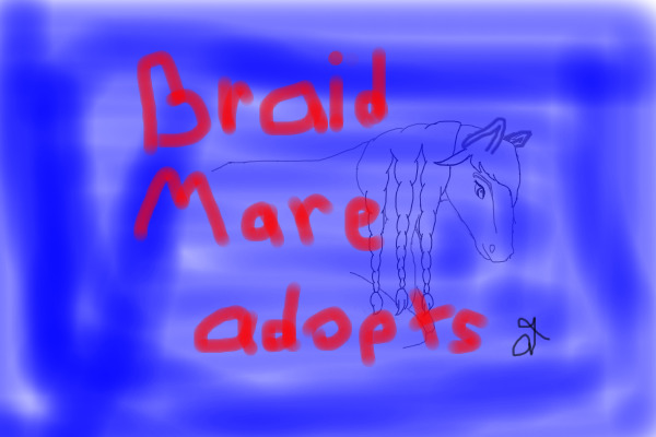 Braid Mare adopts