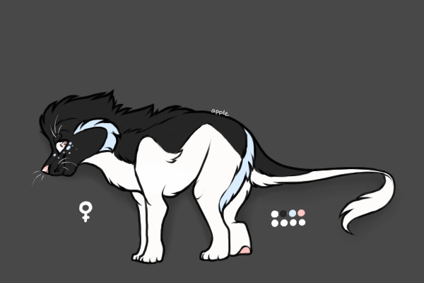 My second taikea --- Eclipse