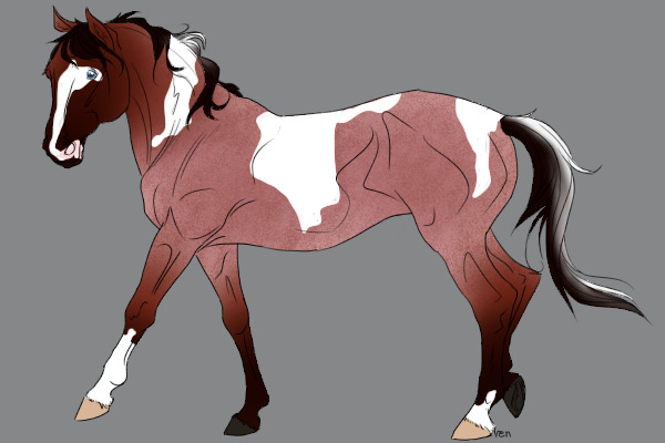 Red Roan Tobiano Mare