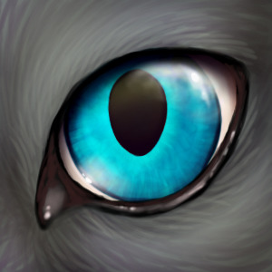 BlueCat Eye