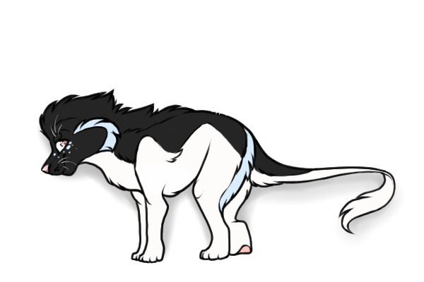 Eclipse - - - - Information