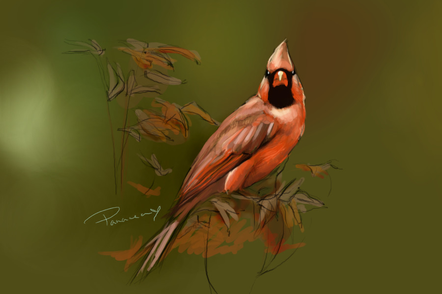 if i was a bird...