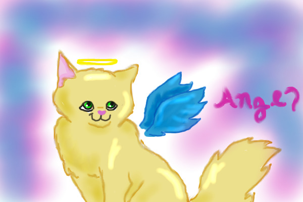 Angel Kitty