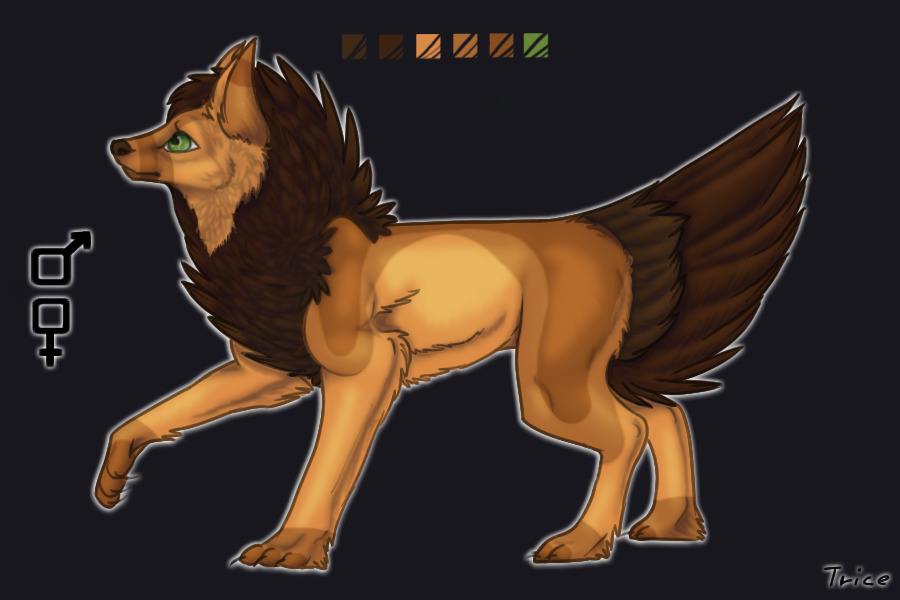 Entry 2 : Lion