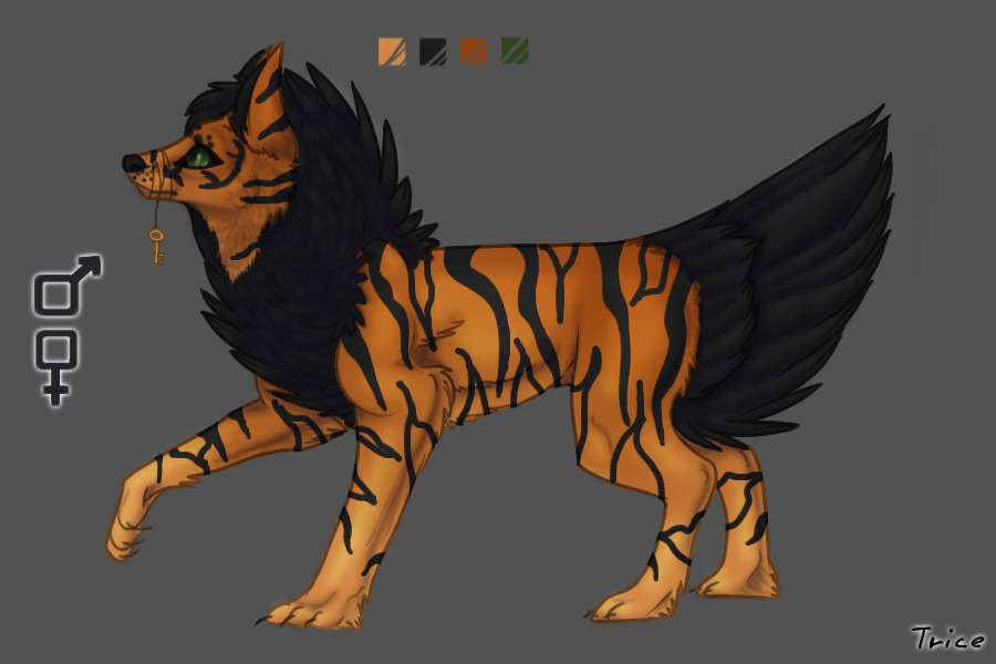 Entry 3 : Tiger